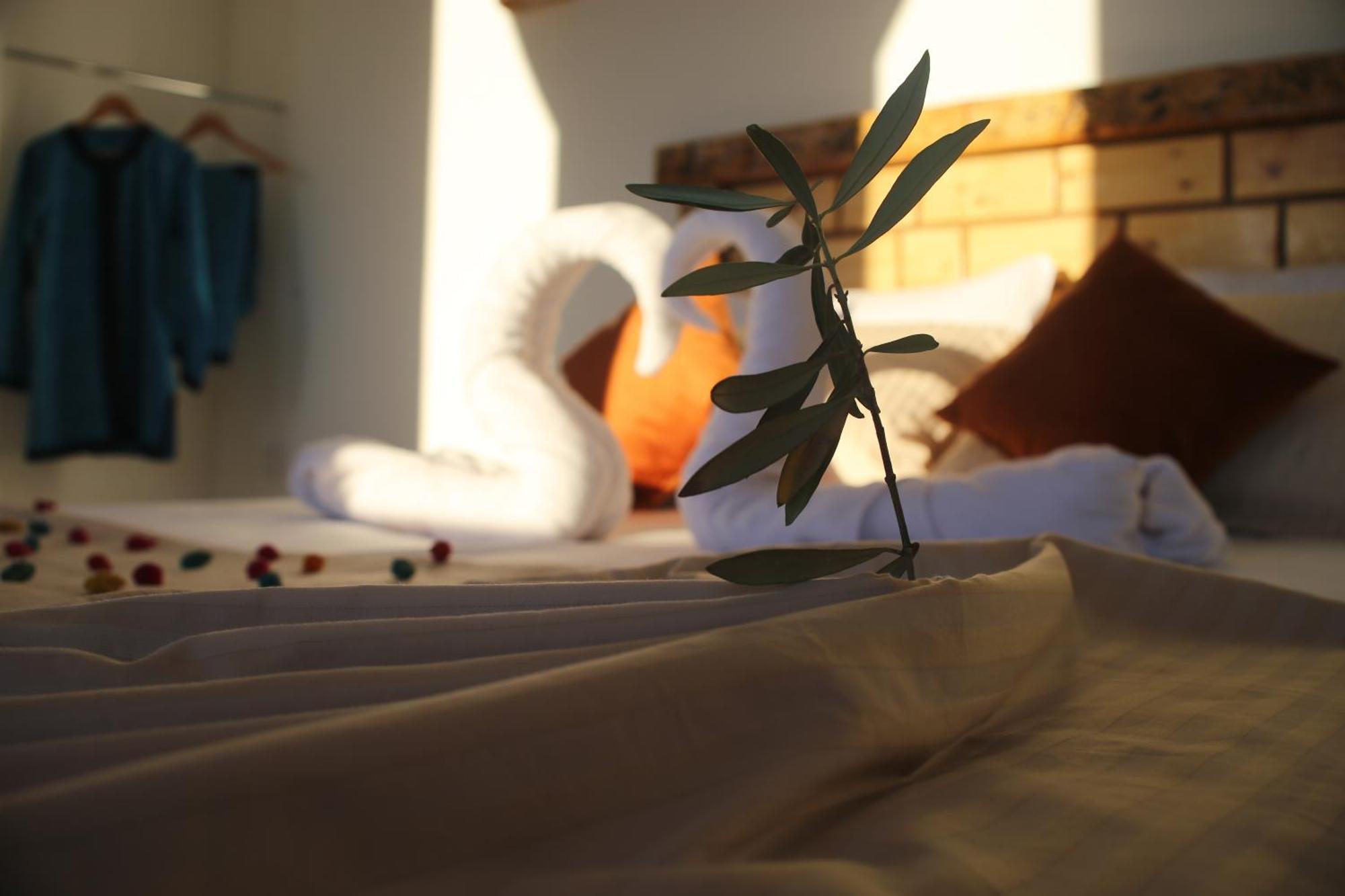 Haven Hills Social Club Hotell Chefchaouen Exteriör bild